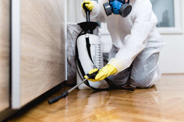 Best Local Pest Control Services  in Fall River, WI