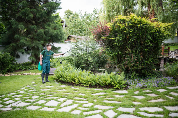 Best Pest Control for Homes  in Fall River, WI