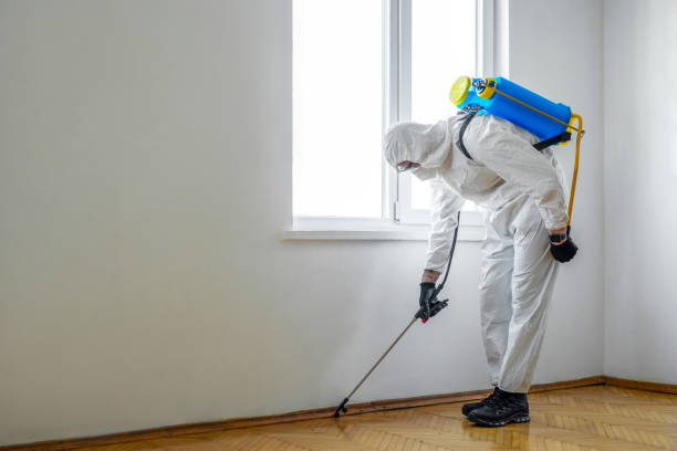 Best Pest Control Near Me  in Fall River, WI