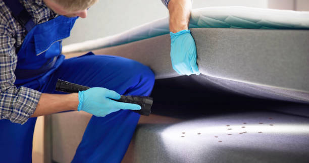 Best Mosquito Control Services  in Fall River, WI