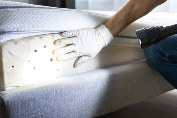 Reliable Fall River, WI Pest Control Solutions