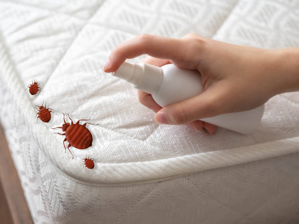 Best Termite Control Services  in Fall River, WI