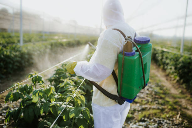 Best Flea Control Services  in Fall River, WI